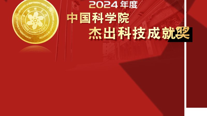 数据定制服务：揭秘企业级解决方案的选型逻辑