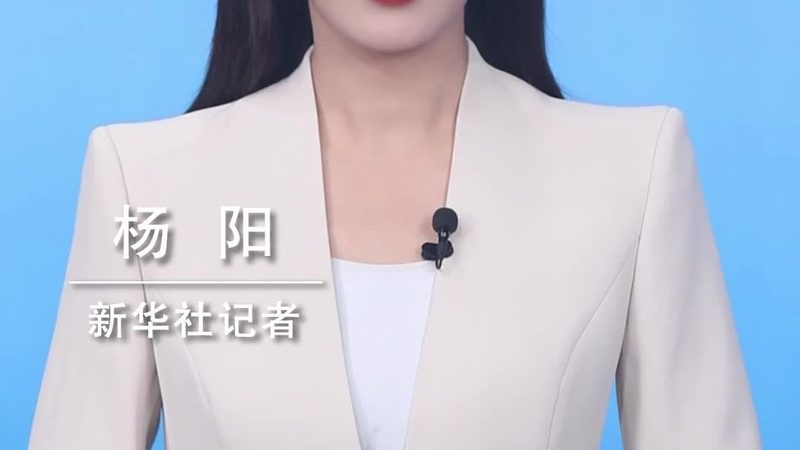 数字化解决方案代理加盟，合同条款全解析**
